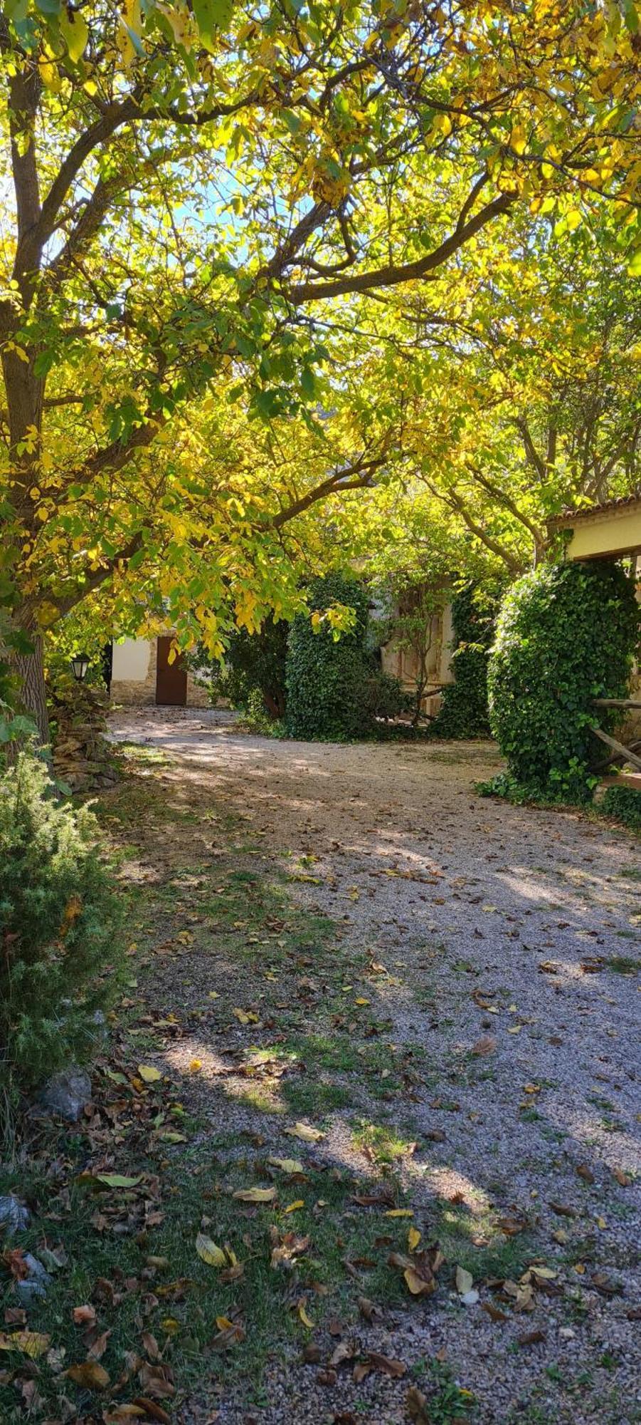 Casas Rurales Los Enebros Nerpio Eksteriør bilde