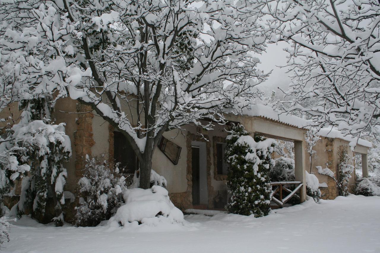 Casas Rurales Los Enebros Nerpio Eksteriør bilde